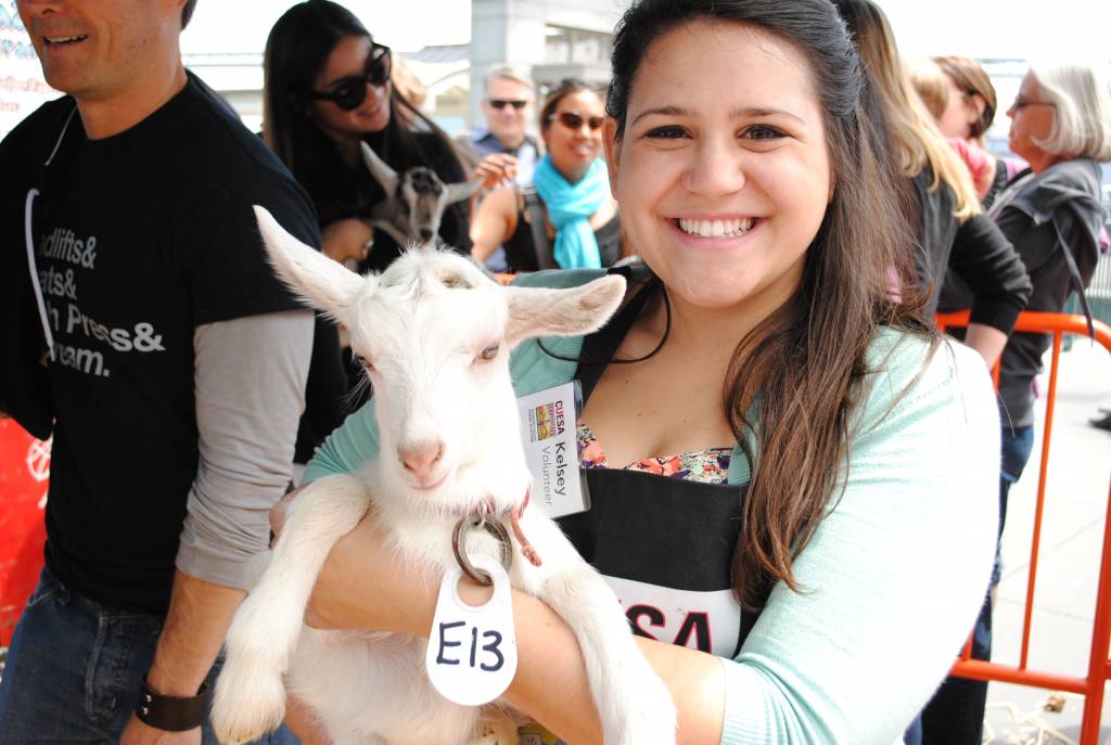 Goats! Baby goats! Photo courtesy of CUESA 