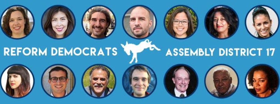 48hillsreformdems