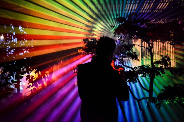 Arts Forecast: Autumn Lights, Space Visitors, Clarion Alley Block Party …
