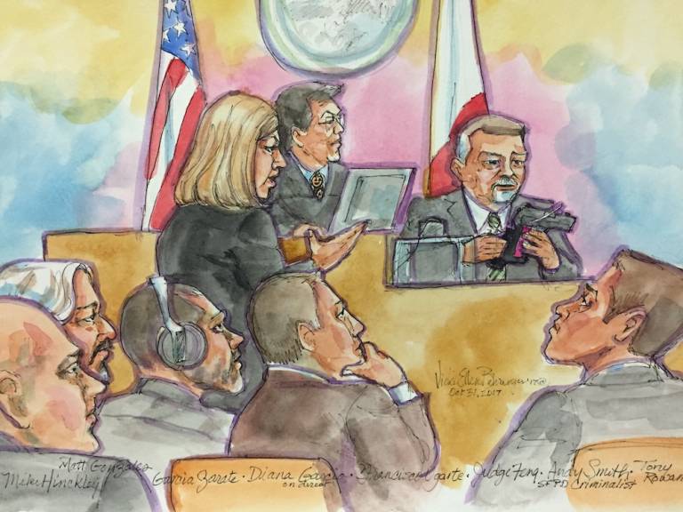 Could the gun that killed Kate Steinle have fired by accident?