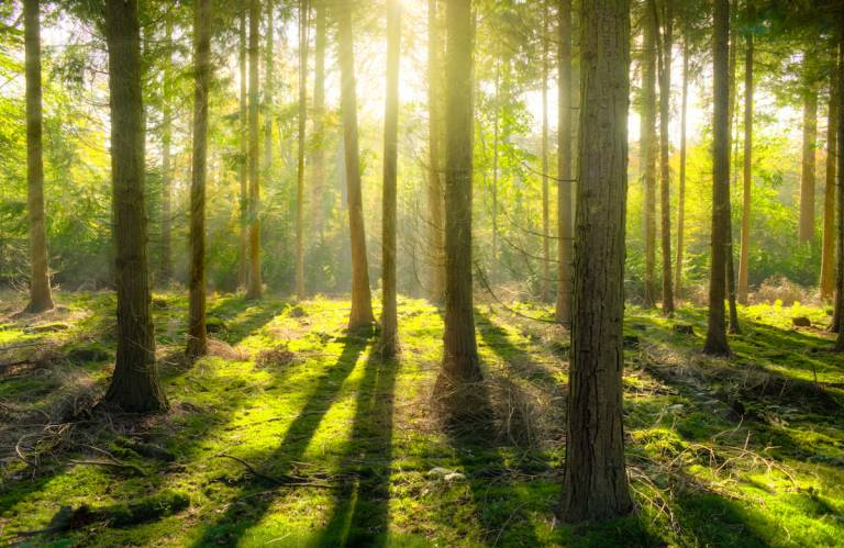 Examined Life: Reclaiming sacred spaces in the Digital Age
