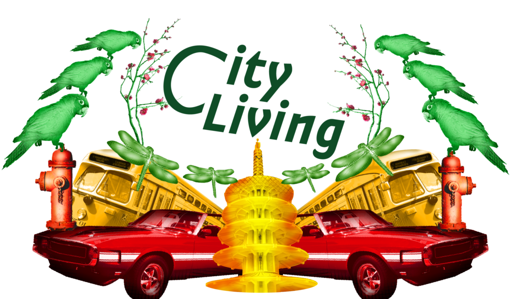 Best Of The Bay 2020: City Living Winners - 48 Hills