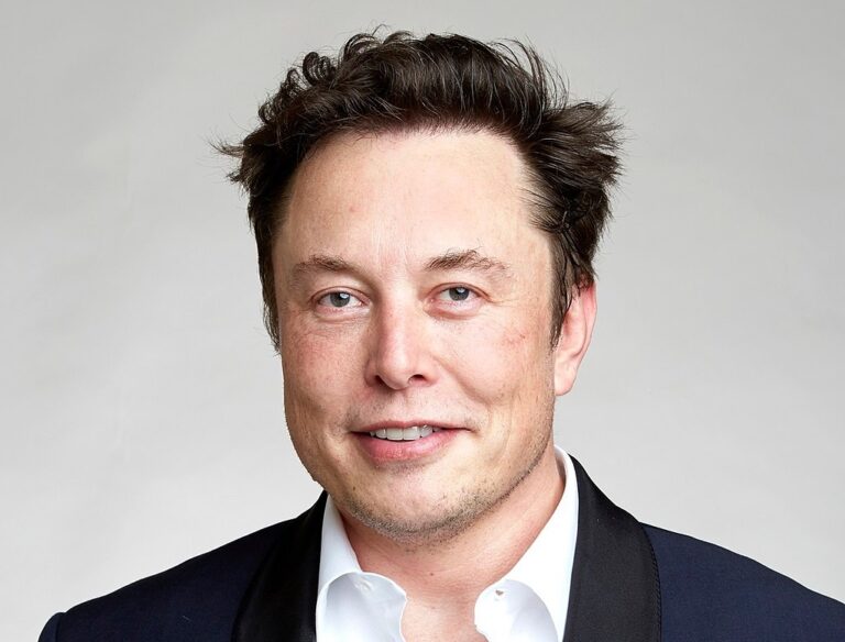 Dear Elon: I told you so