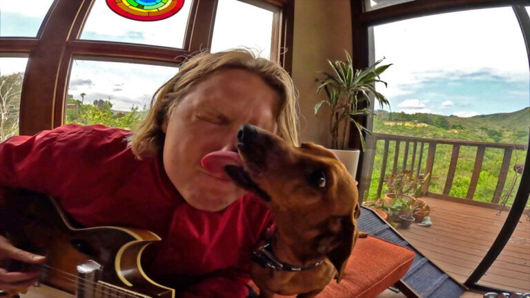 Under the Stars: Of Ty Segall’s cute doggies and Mill Valley’s Fleet Foxes