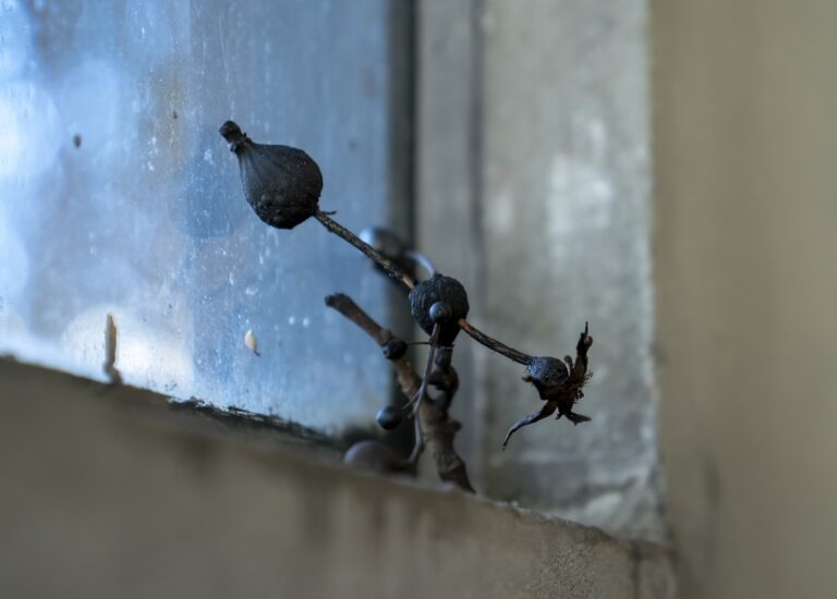 Necromancy at SoEx: ‘Moving Clouds’ summons the once-thought-dead