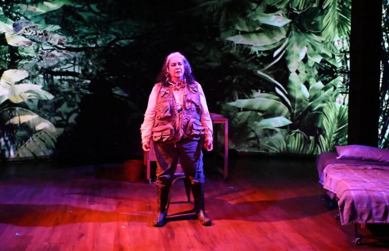 A time-jumping tale of environmental degradation in ‘Garuda’s Wing’