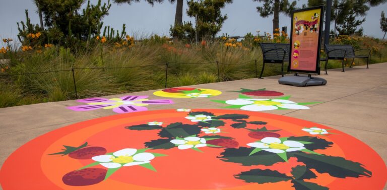 Tosha Stimage’s ‘SUPERBLOOM’ invites Presidio visitors into Bay’s rich floral heritage