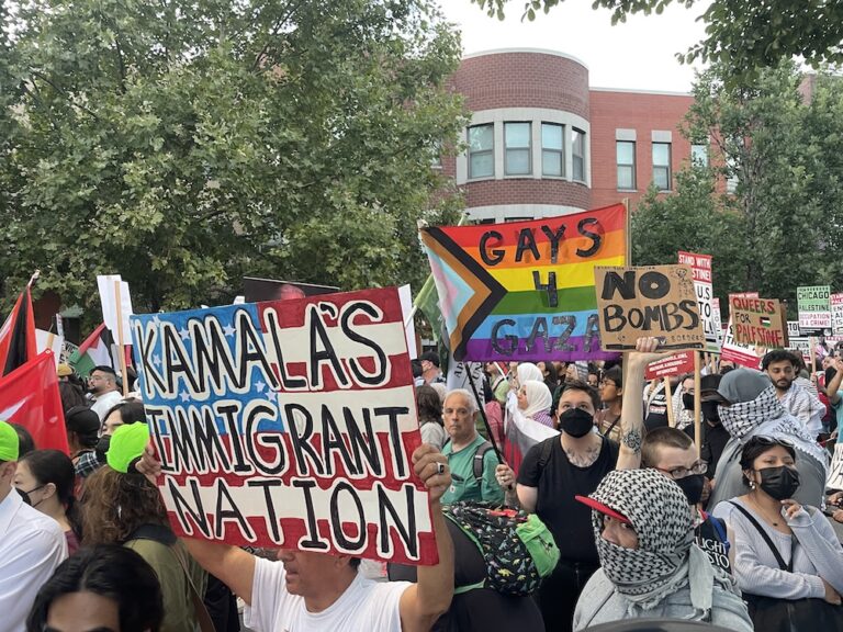 DNC week proves there’s more than one way to stand up for Gaza