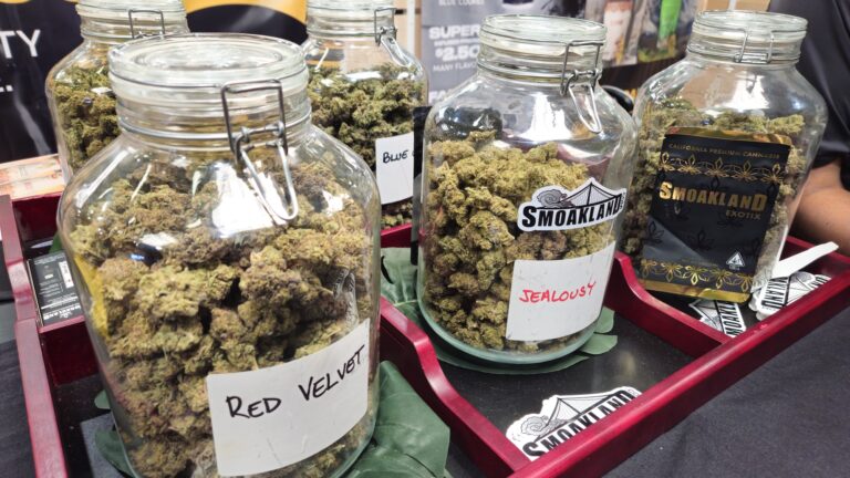 Still riding high on Hall of Flowers 2024