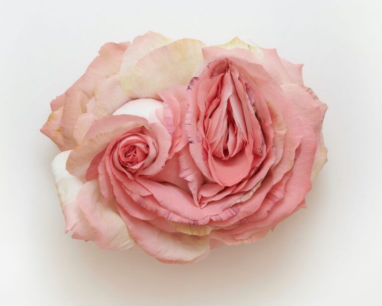 It starts with a flower: Tiffanie Turner’s surprisingly intricate blooms