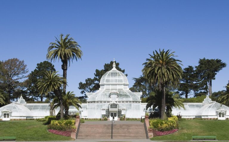 5 fab, free things to do instead of freaking out on Election Day