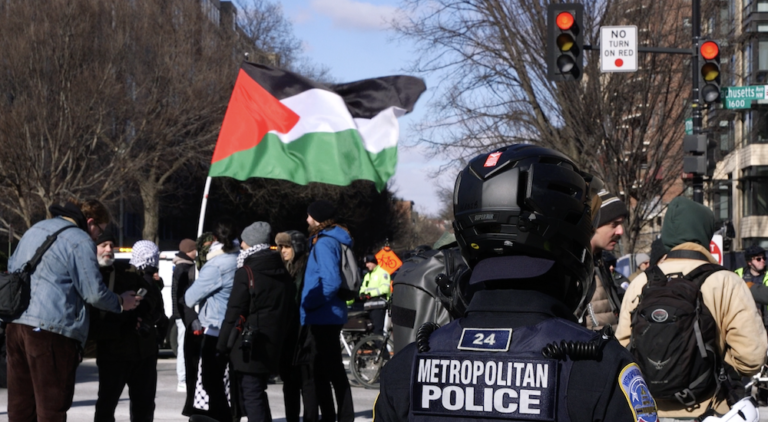 In DC, protesters brave cold weather and MAGA marches
