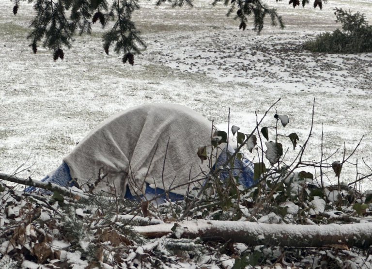 The brutality of ‘homeless cold’