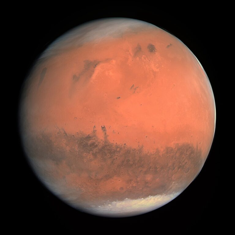 Dear Elon: Go to Mars, please!