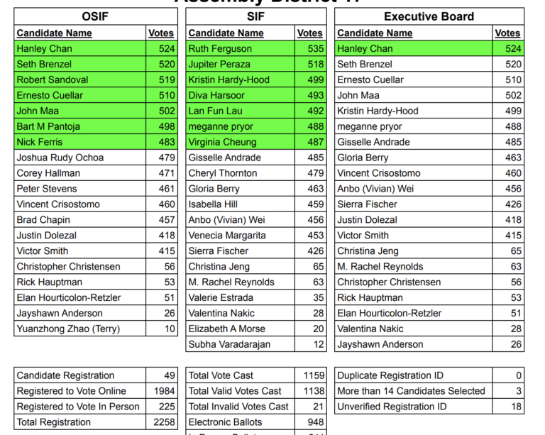 Pro-corporate slate wins most seats in local Democratic Party delegate vote