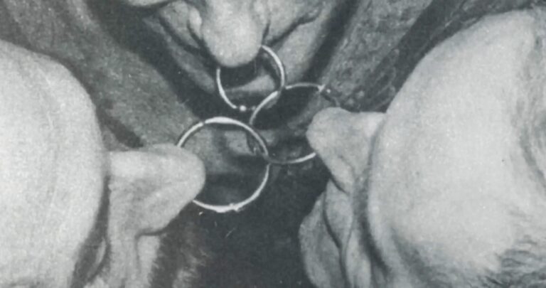 From piercing icon to flaming ecosexuals, Frameline’s tales of rupture and survival