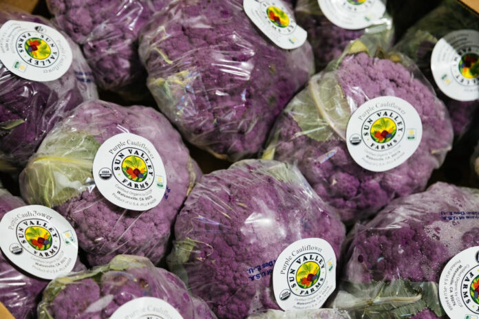 The-Power-of-Matching-Donations-at-Local-Food-Banks-1536x1024