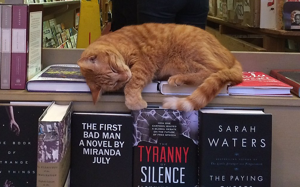 Tip-top tomes: Our favorite books of 2025 - 48 hills