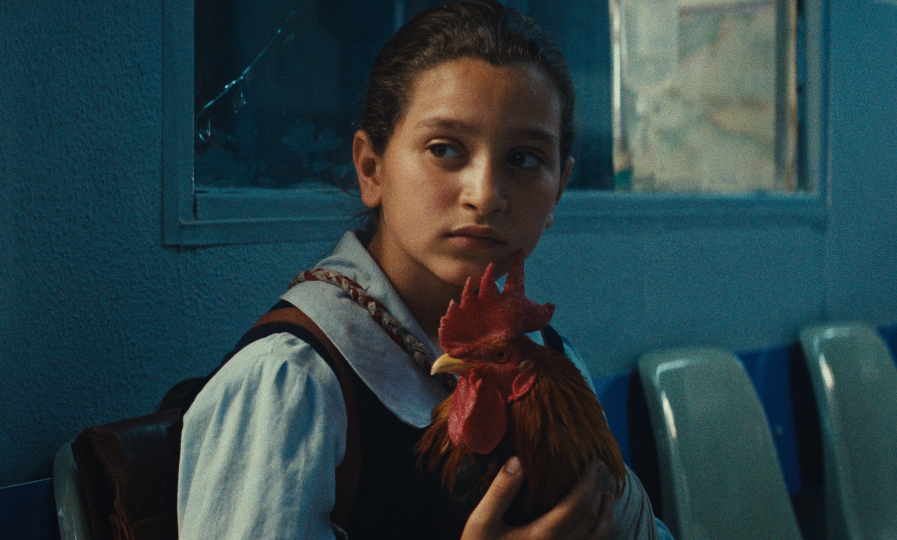 Screen Grabs: Oscar missed this heartwarming tale set in 1990 Iraq—you don’t have to