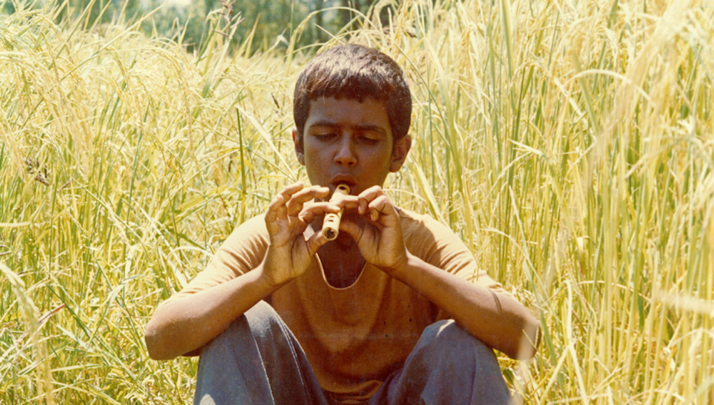 Screen Grabs: Iranian films bring fable, black comedy, and social indictment - 48 hills