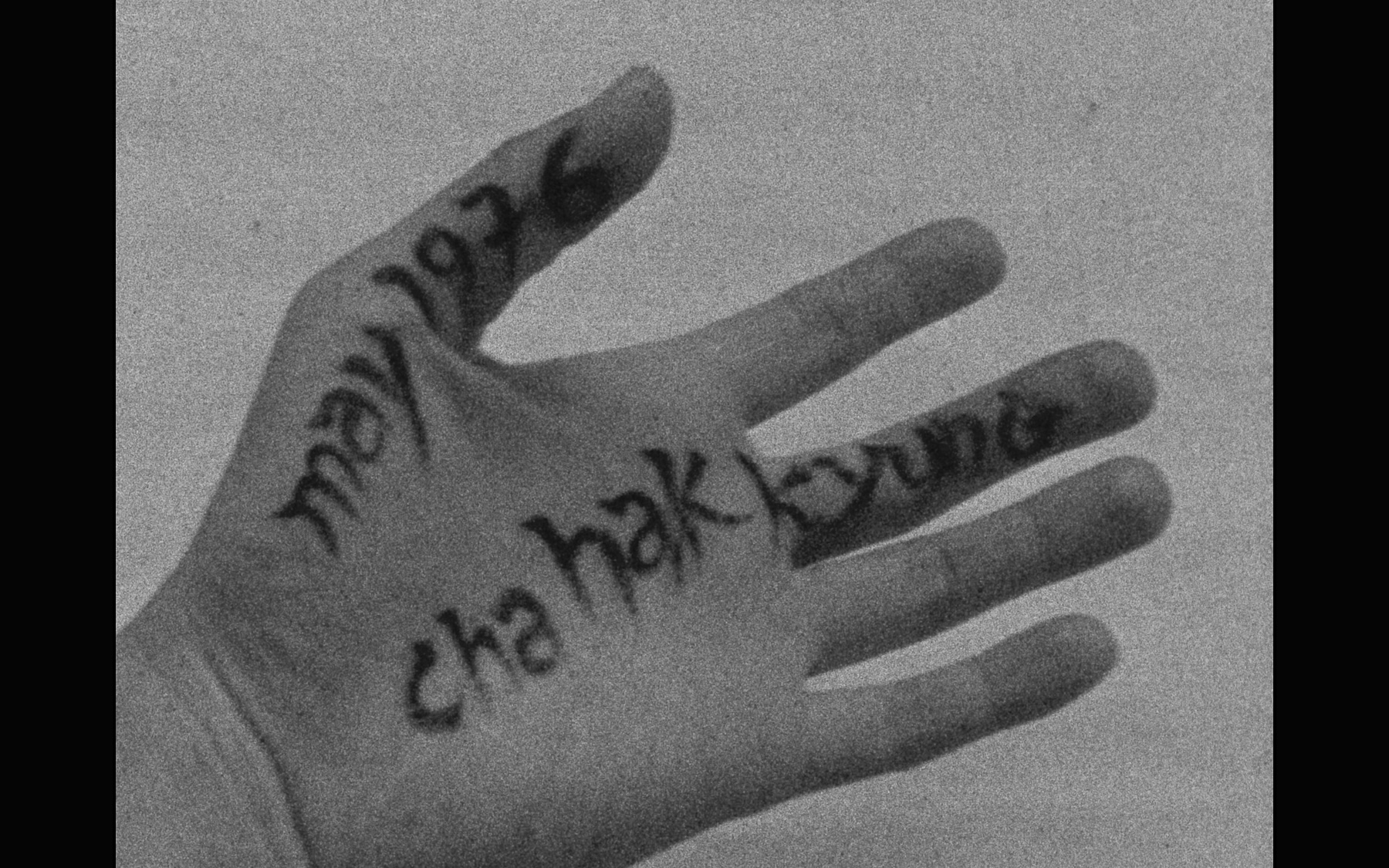 Screen Grabs: Tributes to three trailblazing women filmmakers - 48 hills