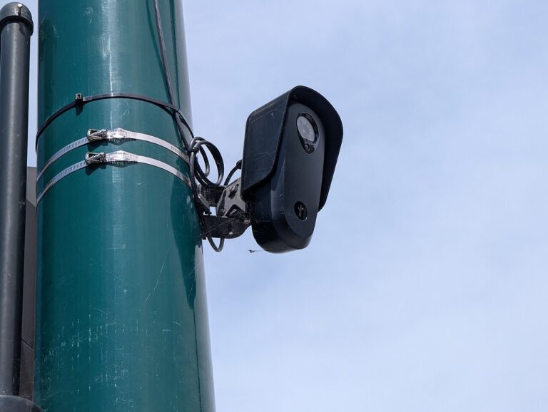 Flock’s panopticon: sight, sound, and search