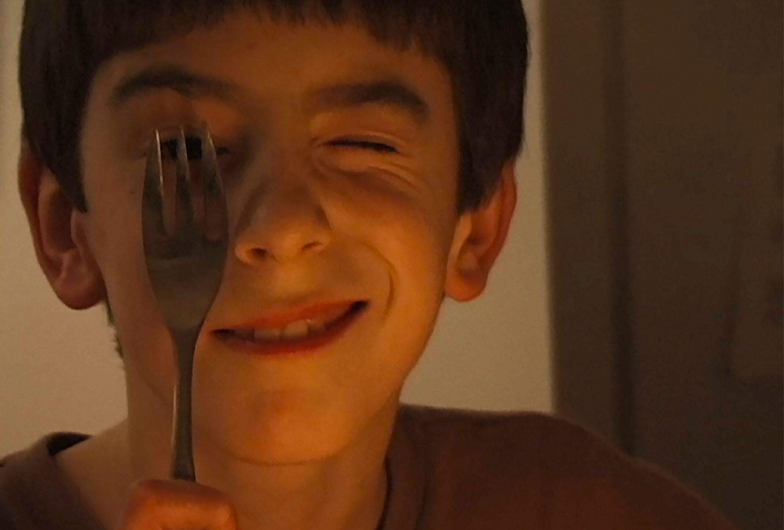 Screen Grabs: A revered documentarian faces the ultimate loss in ‘Remake'